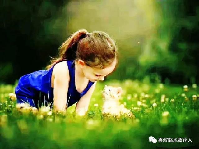 我长大了作文思维导图怎么画，思维导图画作文