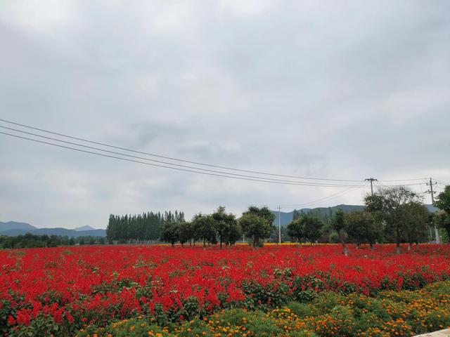 四季花海延庆，延庆区四海镇乡村旅游再添新亮点——