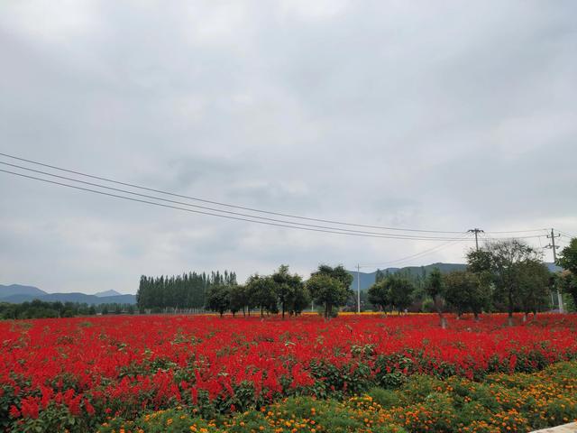 四季花海延庆，延庆区四海镇乡村旅游再添新亮点——