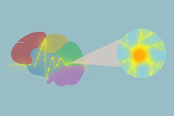 濒死状态各种表现，濒死时身体会发生哪些