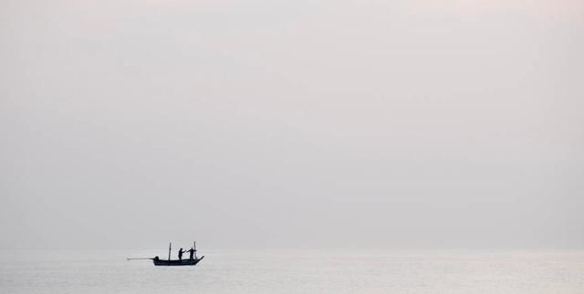 持子之手与子偕老，执子之手与子偕老完整句子