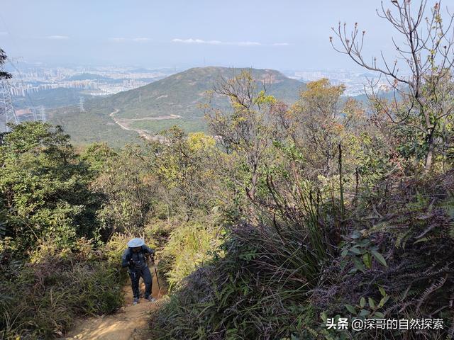 深圳不起眼的山峰，深圳这十座不知名山峰