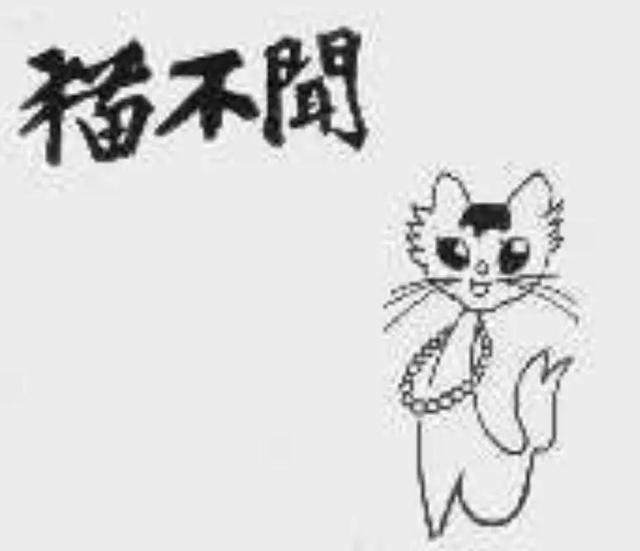 小猫名字接地气，见到天津猫不闻