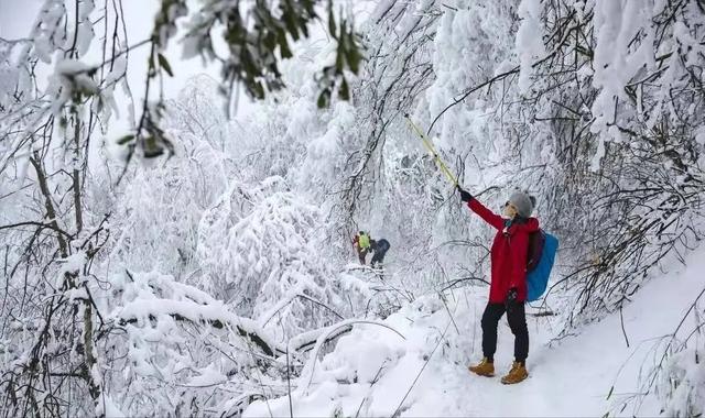 成都周边11月玩雪，成都周边这8个耍雪地不要门票