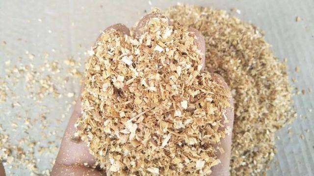 养兰花什么植料最好，这“3种”植料