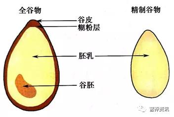 全谷类食物有哪些，你真的吃对了吗（谷类食物一般有哪些）