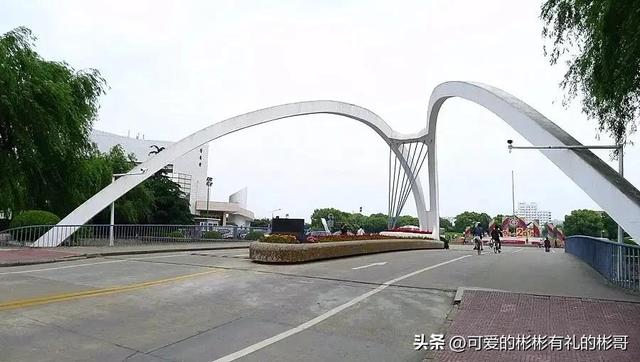 上海交大农学院，上海交通大学的工科学科排名