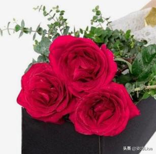 插花怎么弄出漂亮花束，掌握这“三个”原则