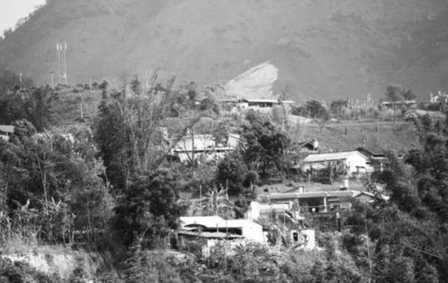 九十年代上海知青，三个上海女知青的故事