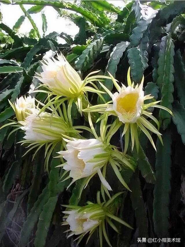 一年级美术作品，一年级下册美术奇妙的爬行作品