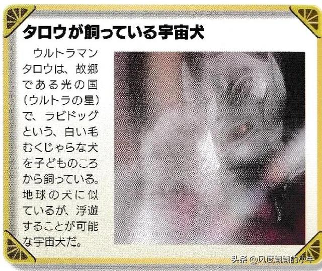 宇宙海人巴爾吉星人，泰羅奧特曼第6集的怪物（泰羅我勸你不要不識好歹）