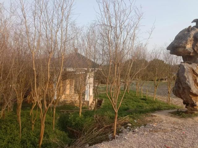 紫蓬山一日游攻略，紫蓬山五一游玩攻略（紫蓬山一日游）