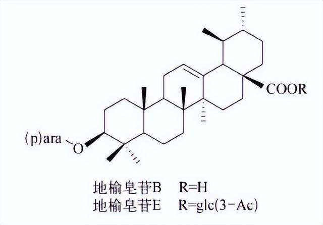 萜类的作用及功能，植物功效成分-三萜及其苷类