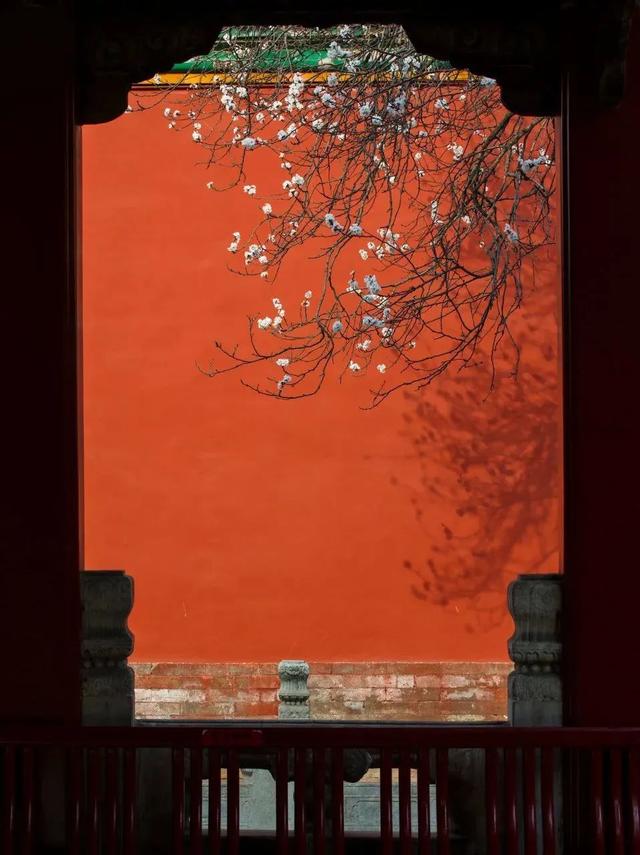 春天最适合旅行的地方，我在这3个地体验到了