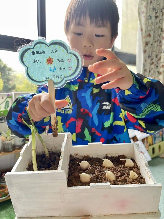 幼儿园自然角在线研讨，小小自然角春意盎然中