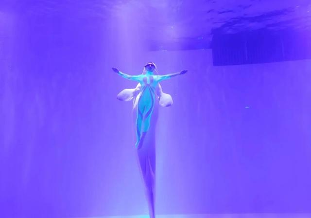 哈尔滨海洋极地馆，哈尔滨极地海洋馆内部（哈尔滨极地公园·极地馆）