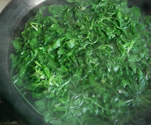 立春必吃的十道菜，它是天然养肝菜