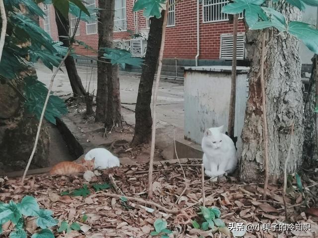 关于地震的科普知识，地震科普关于地震