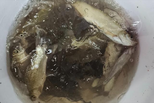 旅游钓鱼最佳地点，钓鱼人需要熟记于心的九大黄金钓位。鱼获多概率高