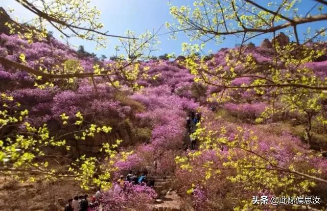 大珠山旅行路线，大珠山一日游