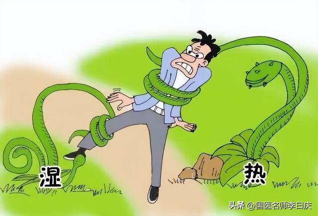 湿热体质怎么改善，湿热体质的症状和调养方法