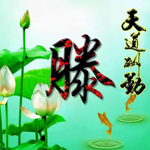 荷花头像图片大全，荷花头像高清图