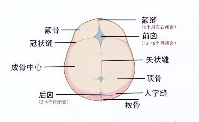 婴儿的囟门是怎么样的，宝宝的囟门妈妈你了解吗