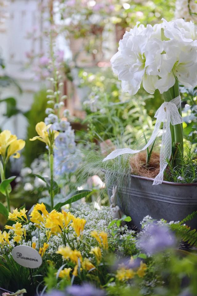 法式花园如何欣赏，海妈花园访问阳台花园满分案例