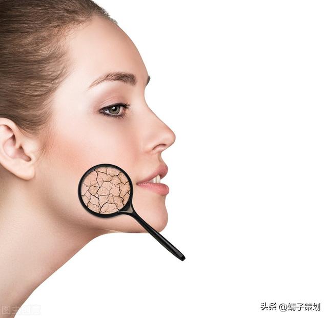 皮肤组织结构图，皮肤组织示意图讲解