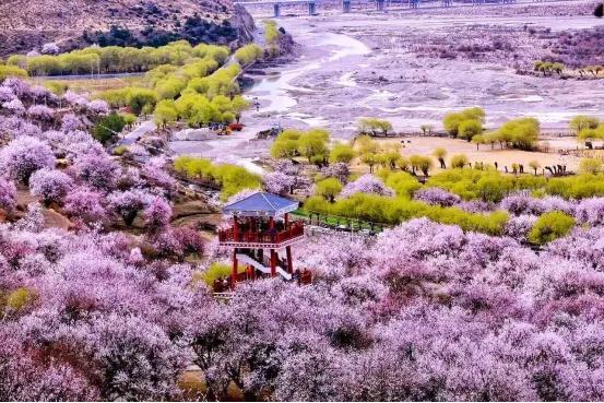 五十三里桃花坞，《五十公里桃花坞》第三季首播