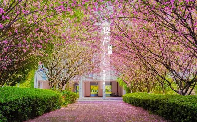 最漂亮的十所大学宿舍，别人家系列重庆大学虎溪校区学生宿舍的美不只一点