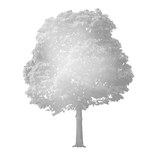 强烈推荐好多个好玩儿易入手的新项目