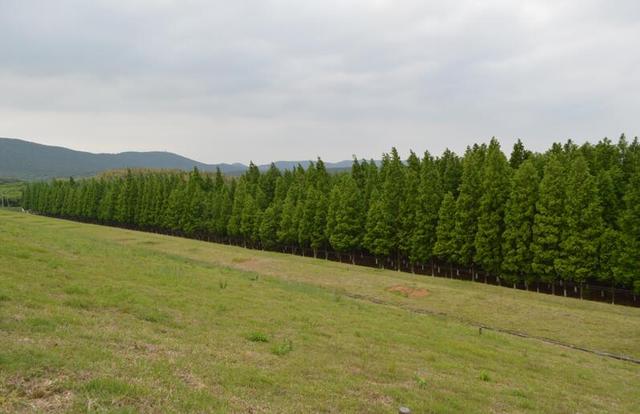 茅山风景区华阳洞，你想要的田园生活来了