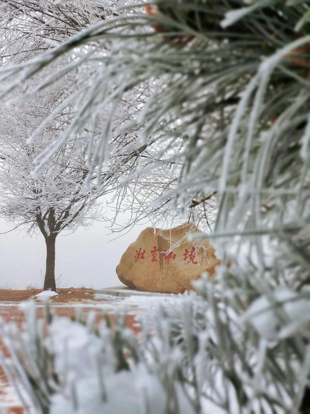 吉林雾凇景色奇特三九严寒，冰天雪地中的美景——吉林雾凇