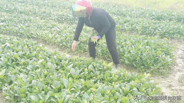 农家菜谱大全图片，好看的农家菜菜谱大全