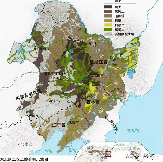 世界四块黑土地是哪四块，全球仅有三块黑土地