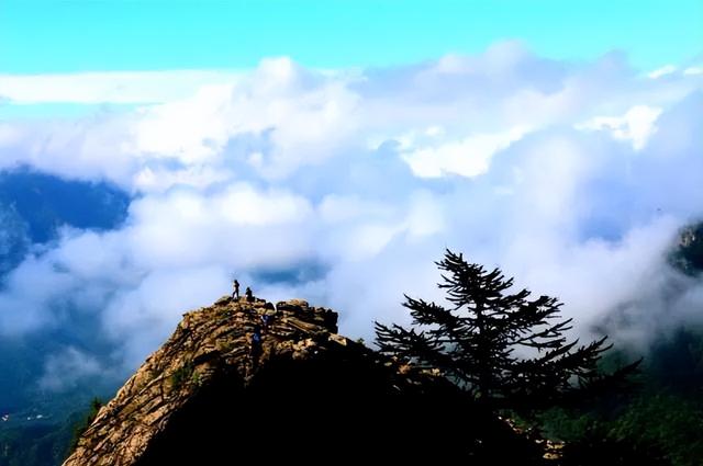 朱雀森林公园旅游攻略一日游，大山深处的朱雀国家森林公园