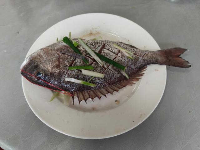 20种常见的海鱼，40种“好吃不贵”的野生海鱼