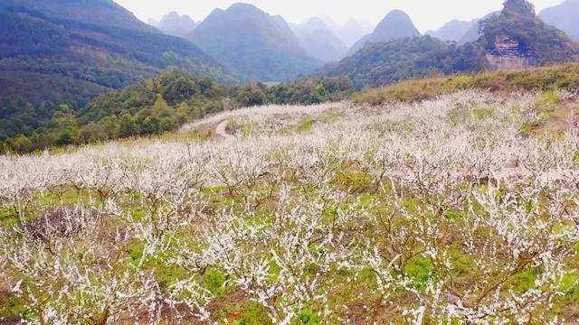 农业观光旅游攻略，休闲农业三月三不远游