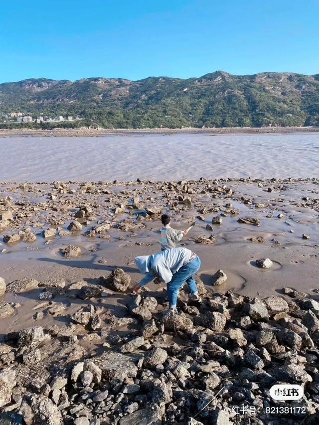 洞头冬天还能不能赶海，天气这么好去洞头赶海啊