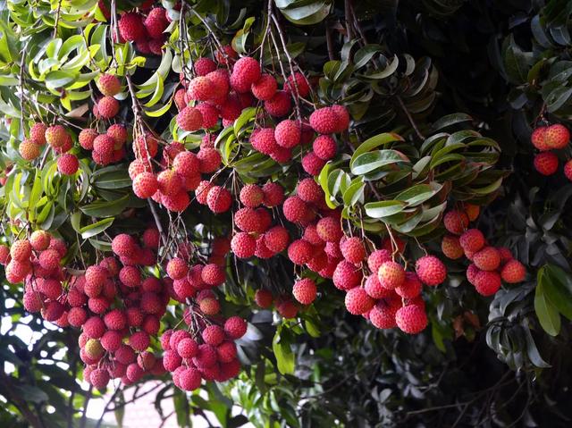 国家宝藏好玩的地方，2022年国内宝藏目的地推荐清单来了