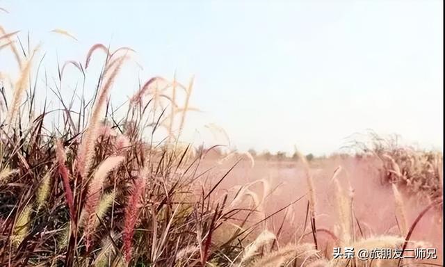 佛山自由行三日游攻略，游玩住宿攻略看这篇就够了