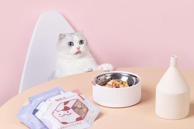 公猫和母猫的区别，公猫vs母猫的六个区别