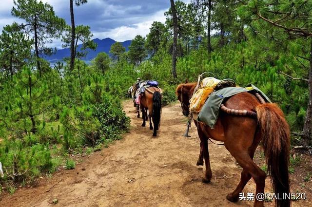 云南小众旅游景点，云南比较小众的旅游胜地（既不堵车还能够玩得开心）