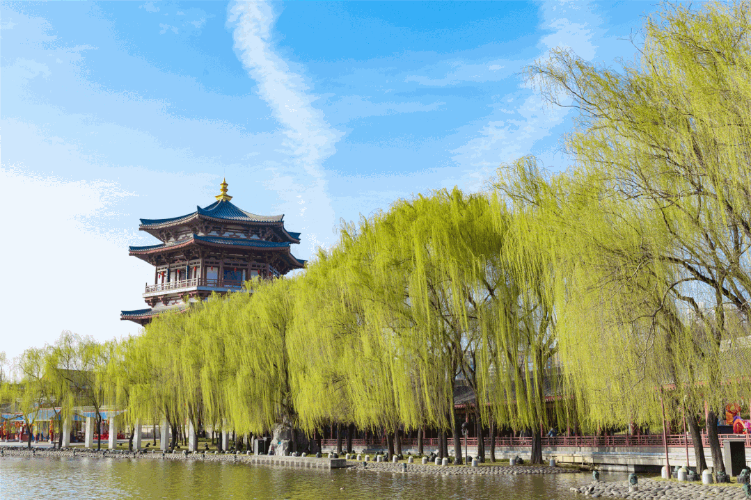 春天去哪里旅游，最适合春天去的7大旅游景点