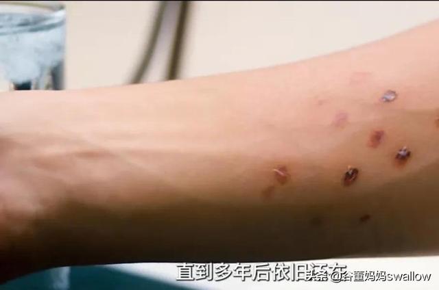 年轻少年卖海苔，网瘾少年卖海苔