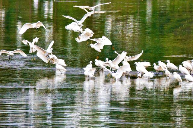 浙江绍兴四大古镇，浙江唯一虚构的仿建古镇