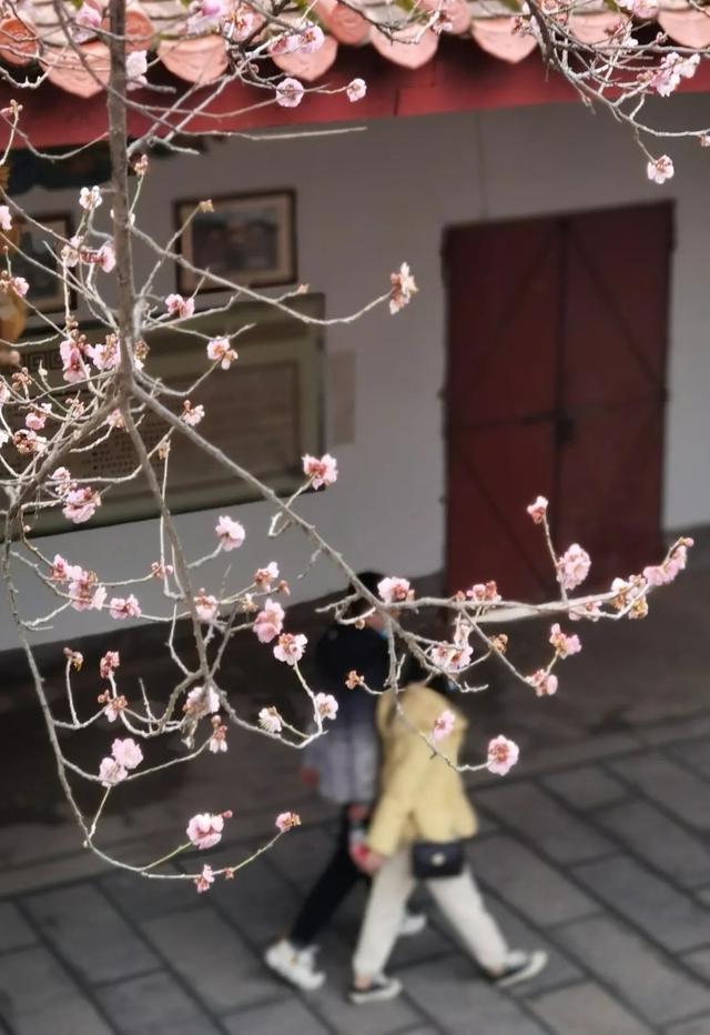 莆田普陀山在哪，莆田普陀山风景区