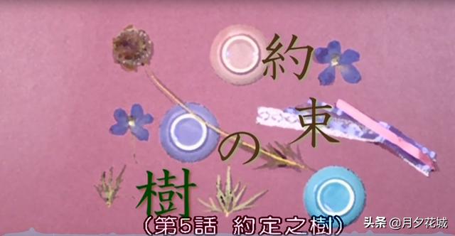 夏目友人帐玲子为什么一直失约，治愈系神作夏目友人帐