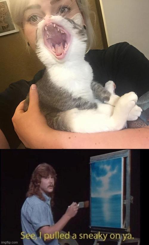 最近一些搞笑的梗，20句神反转搞笑朋友圈文案哈哈哈哈哈哈笑到头掉